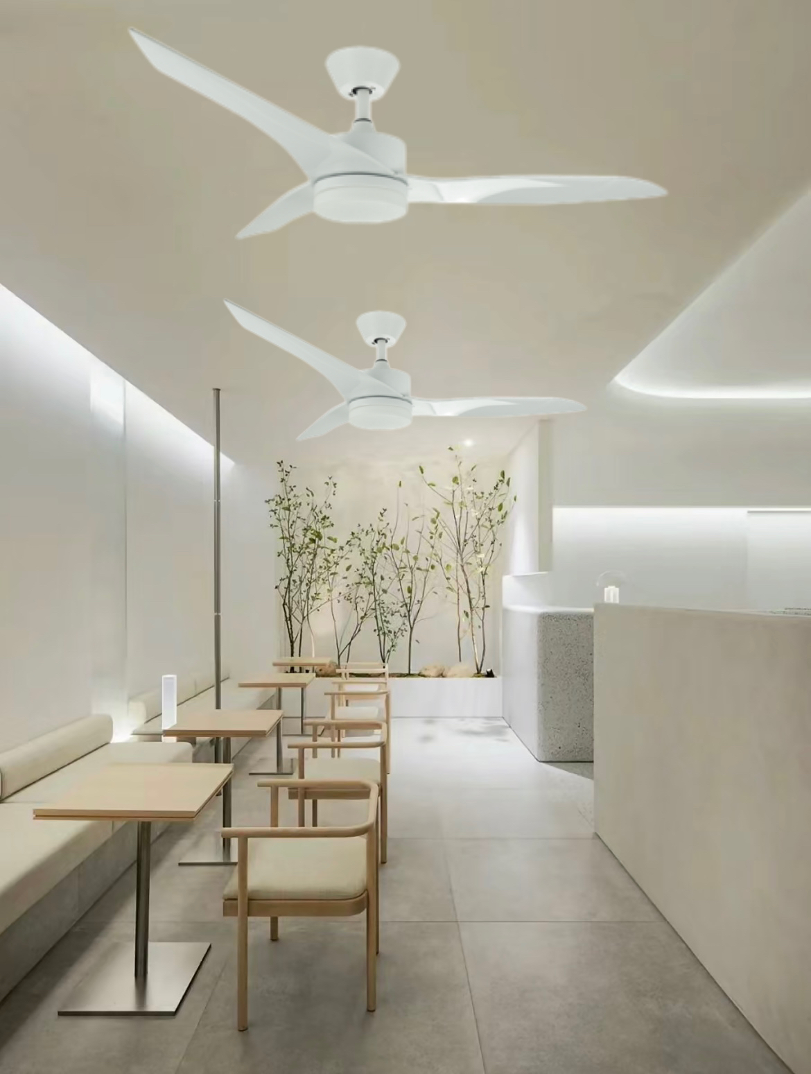 微信图片_202403091428121