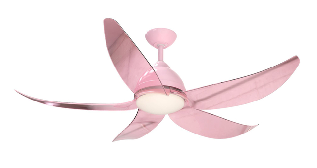 DRL52-5Y004 5AbSremote Contol DC Ventilador de techo con luz negativa Matt White 